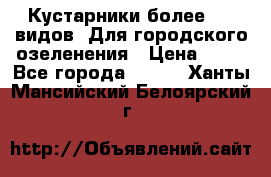 Кустарники более 100 видов. Для городского озеленения › Цена ­ 70 - Все города  »    . Ханты-Мансийский,Белоярский г.